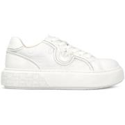 Lage Sneakers Pinko SS0041P048