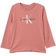 T-shirt Korte Mouw Calvin Klein Jeans IN0IN00005