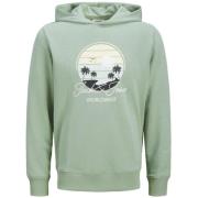 Sweater Jack &amp; Jones -