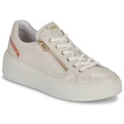 Lage Sneakers NeroGiardini E513081D