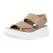 Sandalen Panama Jack NOAH B3