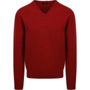 Sweater William Lockie Pullover Lamswol V Poppy