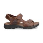 Sandalen Panama Jack SALTON BASICS SANDALEN