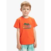 T-Shirt Lange Mouw Quiksilver -