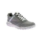 Lage Sneakers Caterpillar Hex Ready Low M