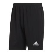 Korte Broek adidas adidas Entrada 22 Shorts