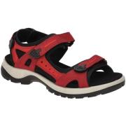 Fitness Schoenen Ecco -