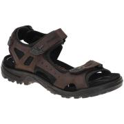 Fitness Schoenen Ecco -