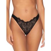 Tanga's Luna Orchidea Braziliaans zwart Splendida