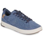Lage Sneakers Saola CANNON CANVAS 2.0