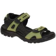 Fitness Schoenen Ecco -