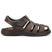 Sandalen Fluchos 36730