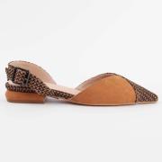 Ballerina's Montevita 102947
