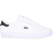 Sneakers Lacoste Powercourt