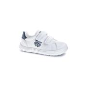 Sneakers Pablosky SONIC 200002