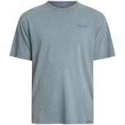 T-shirt Korte Mouw Dickies Plentywood T-shirt