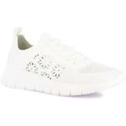 Lage Sneakers Grunland DSG-SC4582