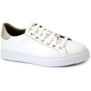 Lage Sneakers Grunland GRU-CCC-SC2161-BI