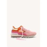 Sneakers Gioseppo IOLA