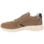 Sneakers Valleverde VV360832