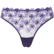 Strings Huit String femme Make A Wish