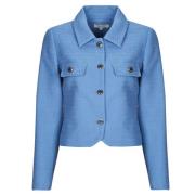 Blazer Morgan VEDY