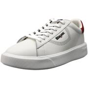 Sneakers Blauer -
