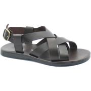 Sandalen Zeus ZEU-CCC-1265-TM