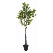 Kunstplanten Signes Grimalt Citroenboom Xgra.