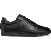 Sneakers Geox Baskets Renan C