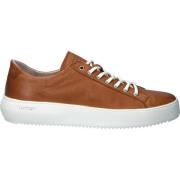 Sneakers Blackstone Baskets Morgan Low