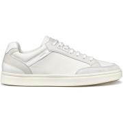Sneakers Geox Baskets Baltmoore B