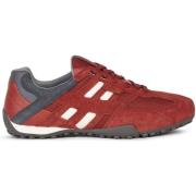 Sneakers Geox Baskets Snake K