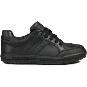 Sneakers Geox Baskets Arzach