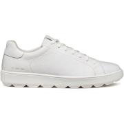 Sneakers Geox Baskets Spherica Ecub-1 C