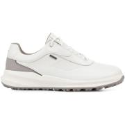Sneakers Geox Baskets PG1X