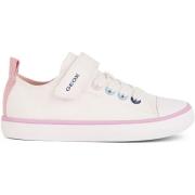 Sneakers Geox Baskets Gisli