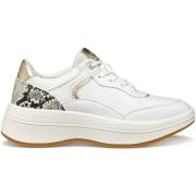 Sneakers Geox Baskets femme Spherica Ecub-3 B