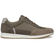 Sneakers Geox Baskets Avery C