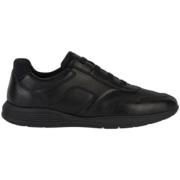 Sneakers Geox Baskets Spherica