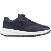 Sneakers Geox Baskets PG1X