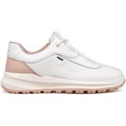Sneakers Geox Baskets femme PG1X B ABX A