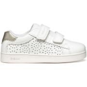 Sneakers Geox Baskets femme Eclyper