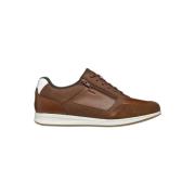 Sneakers Geox Baskets U Avery A
