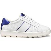 Sneakers Geox Baskets femme Spherica Ecub-1 A