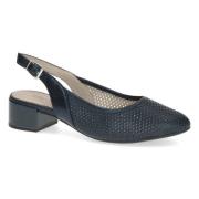 Ballerina's Caprice -