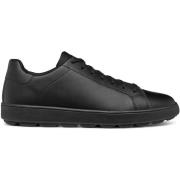 Sneakers Geox Baskets Spherica Ecub-1 A