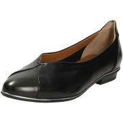 Ballerina's Everybody -