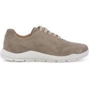 Lage Sneakers Melluso U56051-243186