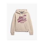 Sweater Superdry Sweatshirt à capuche femme High Flyers